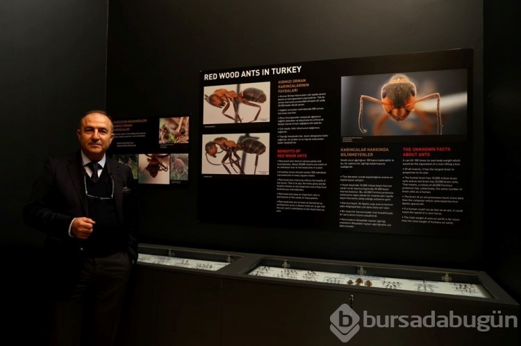 Trakya Üniversitesi Doğa Tarihi Müzesi'nde yeni örnekler getiriliyor
