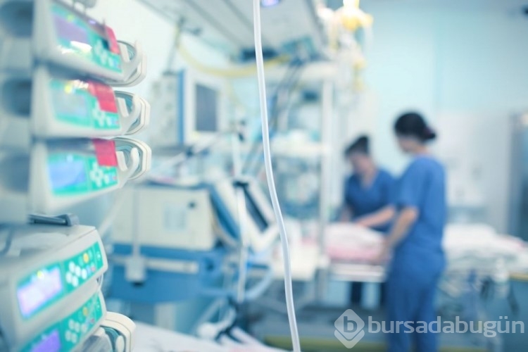 Yeni ölümcül salgın: Candida auris