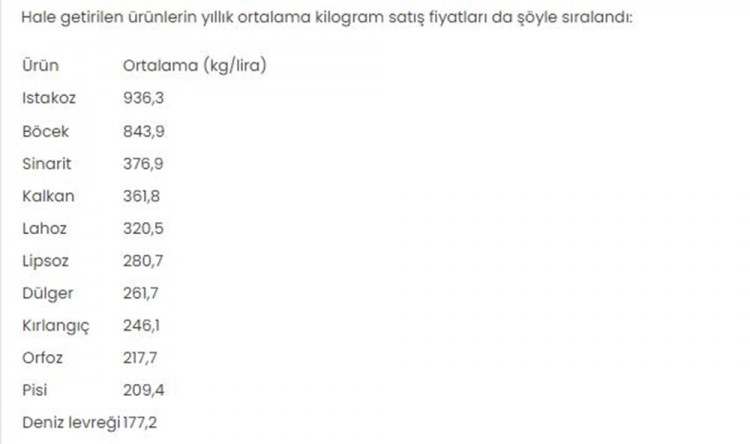 Palamut mu Hamsi mi?