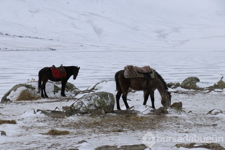 Donan Balık Gölü fotoğraf tutkunlarının ağırlıyor