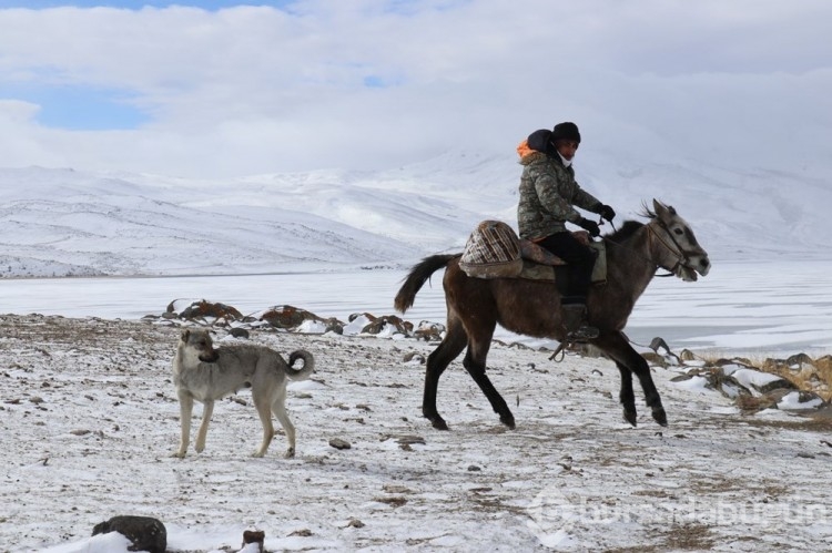 Donan Balık Gölü fotoğraf tutkunlarının ağırlıyor