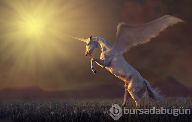 Doğru olduğuna inanamayacağınız enteresan bilgiler!