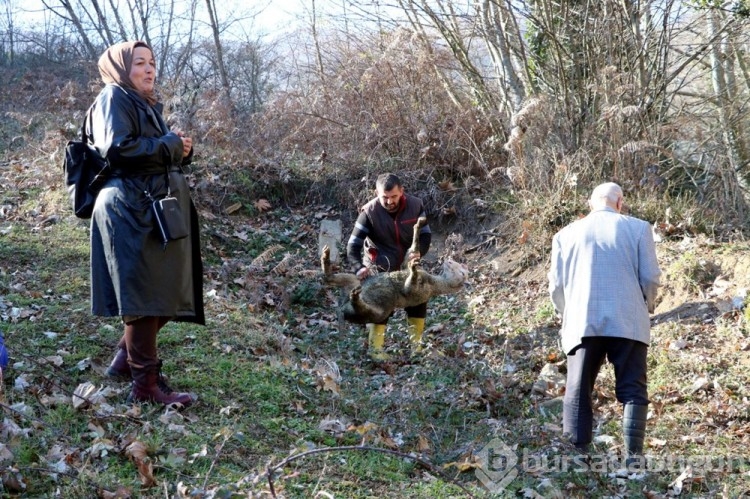 Almanya'dan Zonguldak'a 'mezar' yolculuğu