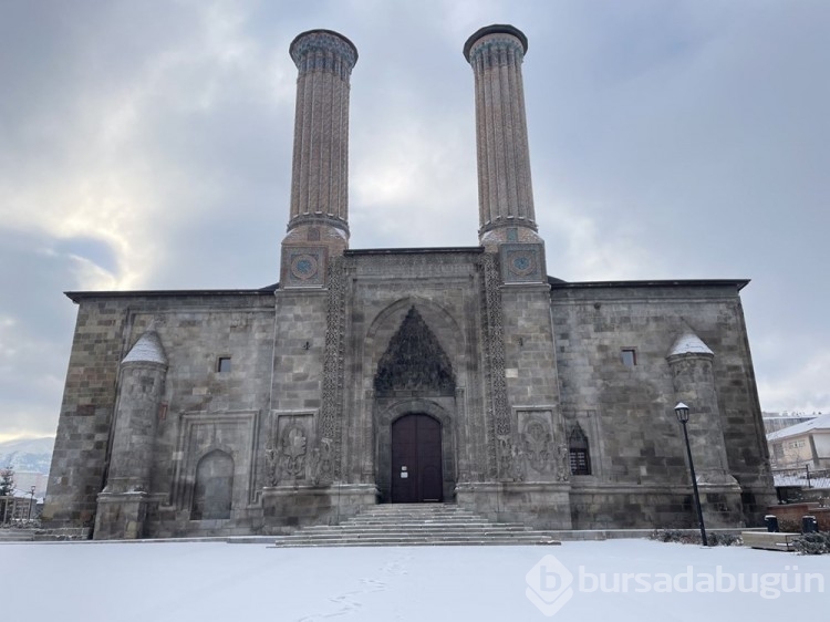 Doğu Anadolu'da eksi 29,4 derece soğuklar dona neden oluyor