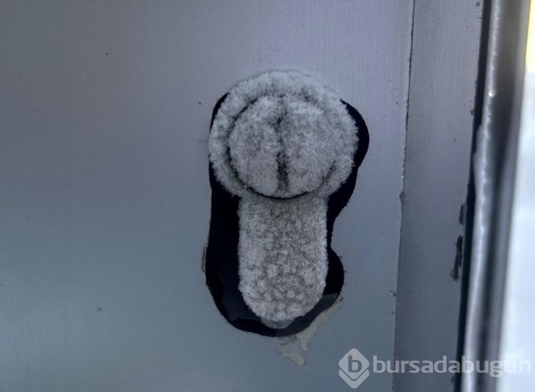 Doğu Anadolu'da eksi 29,4 derece soğuklar dona neden oluyor