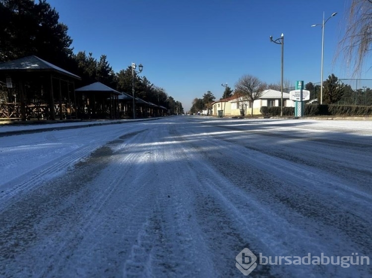 Doğu Anadolu'da eksi 29,4 derece soğuklar dona neden oluyor