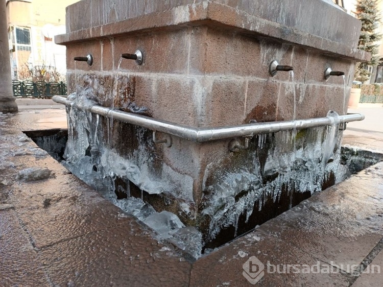 Doğu Anadolu'da eksi 29,4 derece soğuklar dona neden oluyor