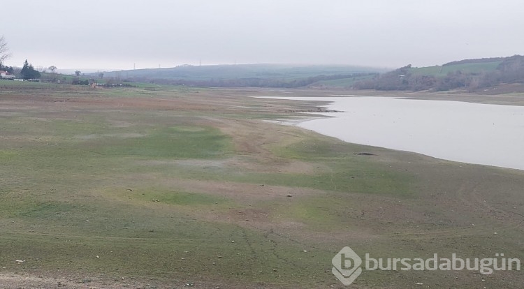 Tekirdağ'da Bıyıkali Göleti kuruma noktasında
