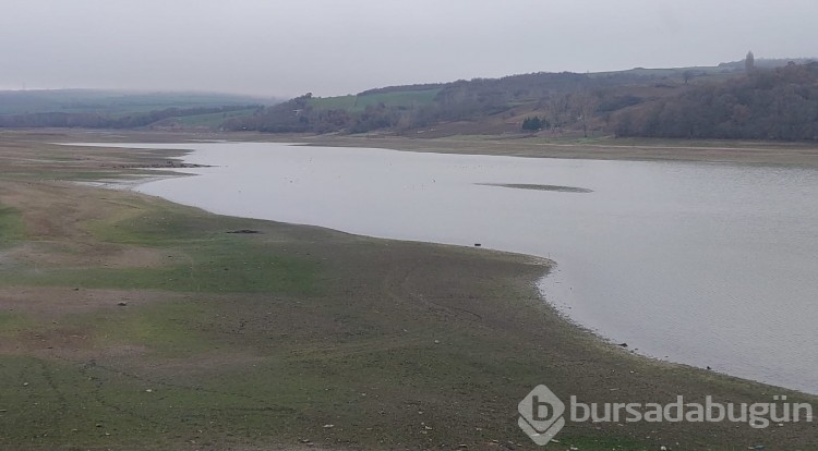 Tekirdağ'da Bıyıkali Göleti kuruma noktasında
