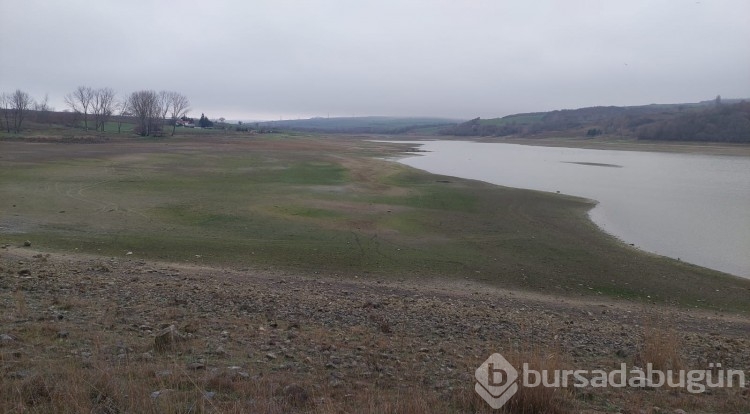 Tekirdağ'da Bıyıkali Göleti kuruma noktasında