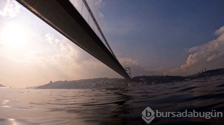 İstanbul Boğazı'nda denizanası istilasıyla karşı karşıya
