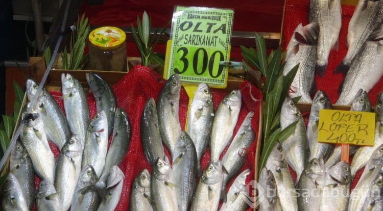 'Denizin prensi' Lüfer'in kilosu 400 lirayı buldu