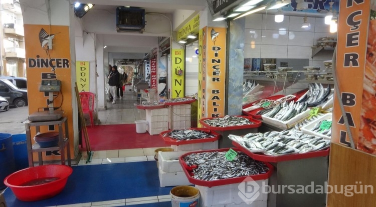 'Denizin prensi' Lüfer'in kilosu 400 lirayı buldu