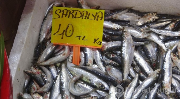 'Denizin prensi' Lüfer'in kilosu 400 lirayı buldu