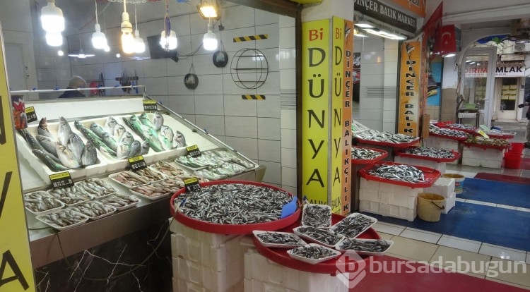 'Denizin prensi' Lüfer'in kilosu 400 lirayı buldu