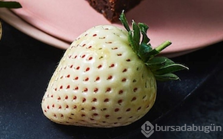 Beyaz çilek, sosyal medyada tartışma konusu oldu!