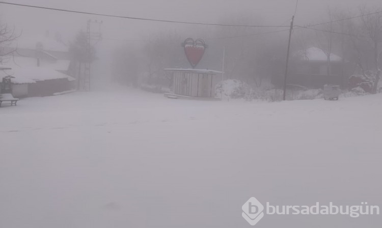 Bursa'dan kar manzaraları