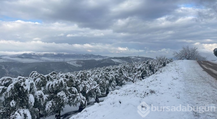 Bursa'dan kar manzaraları