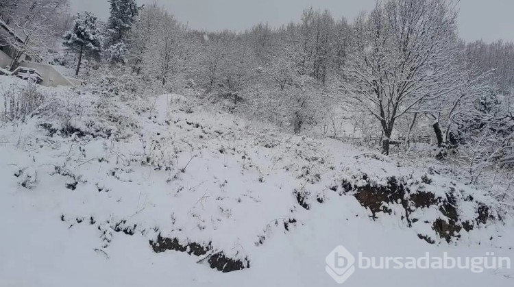 Bursa'dan kar manzaraları