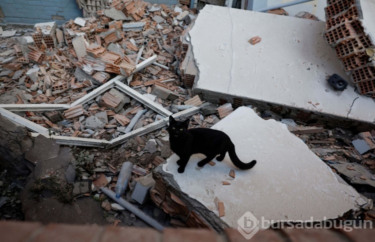 Deprem bölgesinde vesikalık fotoğrafla teşhis
