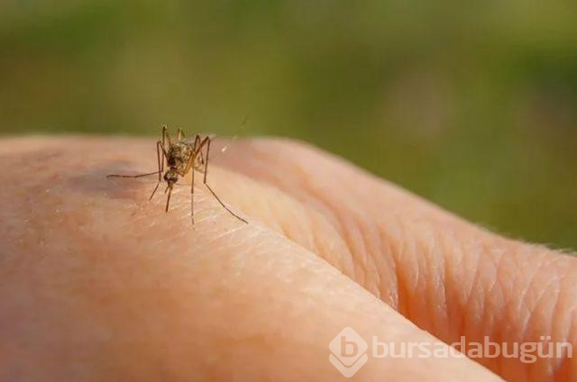 Deprem bölgeleri enfeksiyon riski altında: Alınabilecek önlemler
