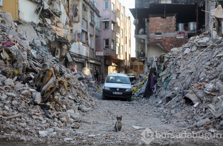 Deprem bölgesinde 14. gün: Yıkımın ardından geriye kalanlar...