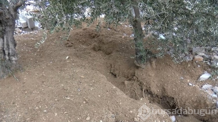 200 evden 10'u ayakta kaldı