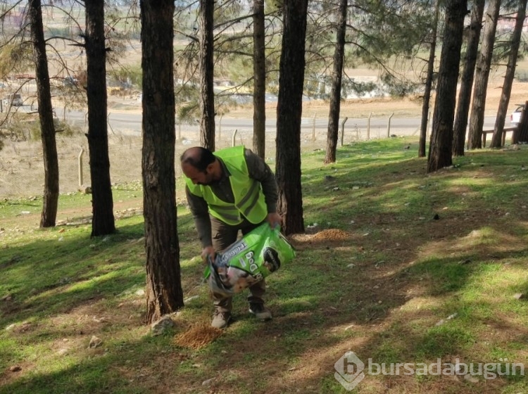 Tarım ve Orman Bakanlığı, afet bölgesindeki can dostlarının yardımına koşuyor