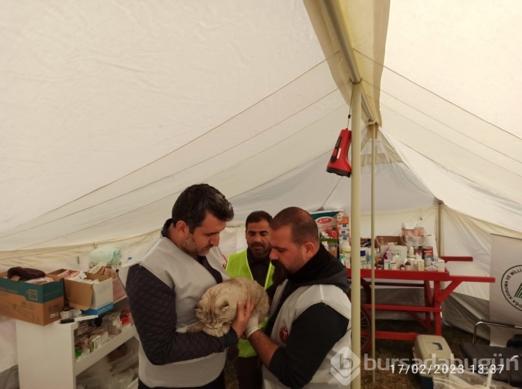 Tarım ve Orman Bakanlığı, afet bölgesindeki can dostlarının yardımına koşuyor