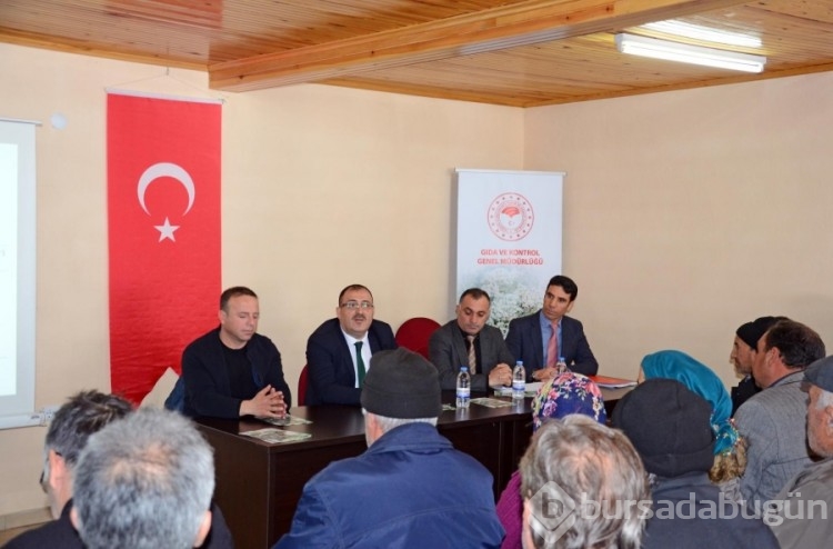 Kekik yağı ihracatından 60 milyon dolar kazandı