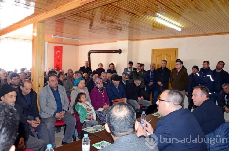 Kekik yağı ihracatından 60 milyon dolar kazandı