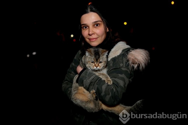 Diyarbakır'da yıkılacak olan binadan "Zena" isimli bir kedi kurtarıldı