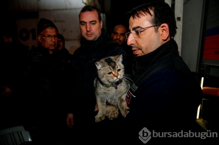 Diyarbakır'da yıkılacak olan binadan "Zena" isimli bir kedi kurtarıldı