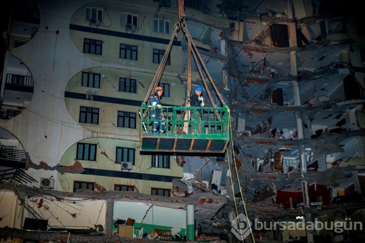 Diyarbakır'da yıkılacak olan binadan "Zena" isimli bir kedi kurtarıldı
