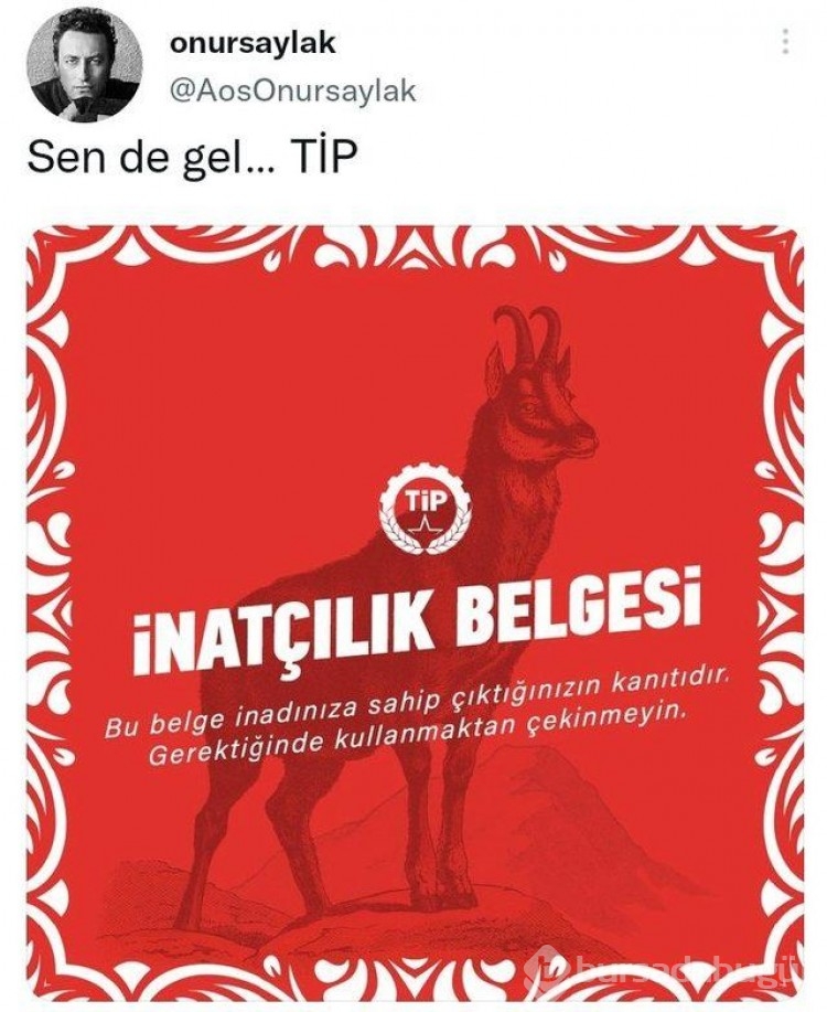 Onur Saylak Türkiye İşçi Partisi'ne üye oldu!