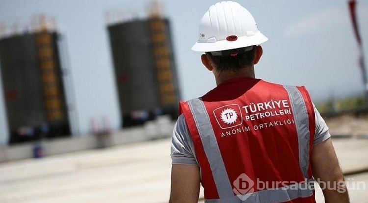 TPAO değişikliğe gitti