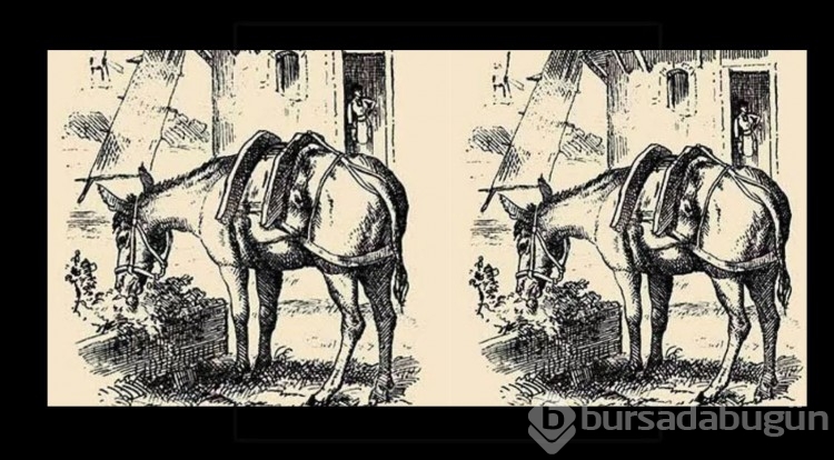 1880'lerin en zor testi, detayı sadece yüzde 1'lik kesim görebiliyor