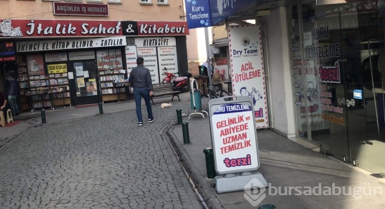 Eskişehir'de Sokak köpeği mağazadan oyuncak çaldı