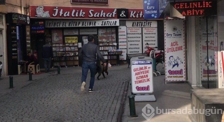 Eskişehir'de Sokak köpeği mağazadan oyuncak çaldı