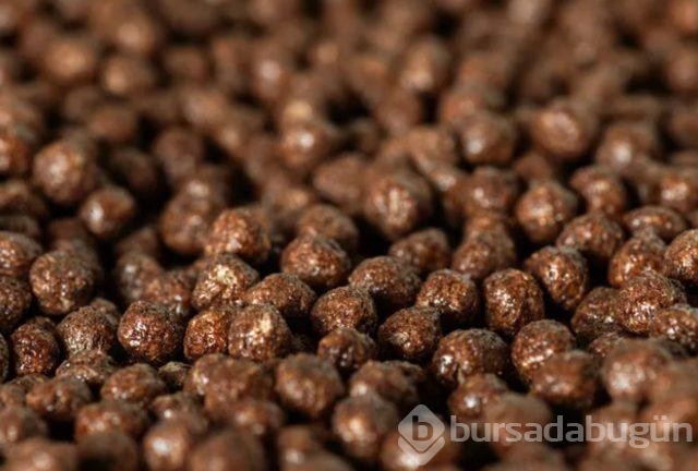 Tuzu yeterli miktarda tüketmemek erken ölüm riskini %80 artırabilir