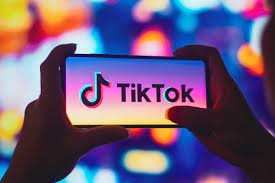 TikTok'a para cezası