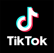 TikTok'a para cezası