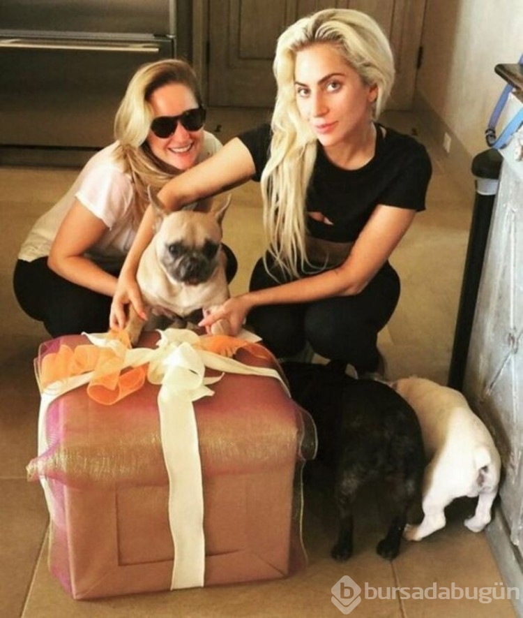 Ünlü şarkıcı Lady Gaga'nın köpek davası devam ediyor
