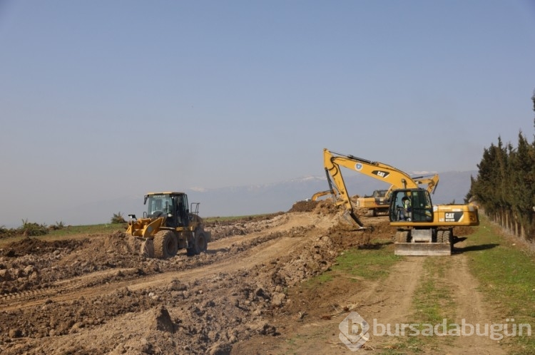 Yönetimler arasında örnek dayanışma