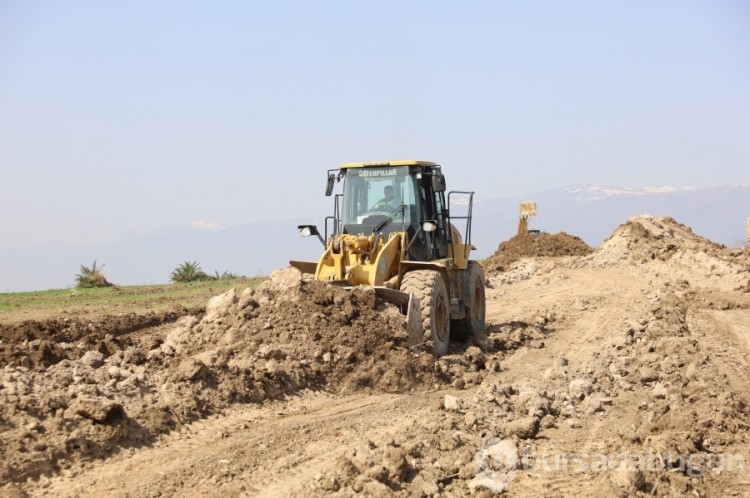 Yönetimler arasında örnek dayanışma