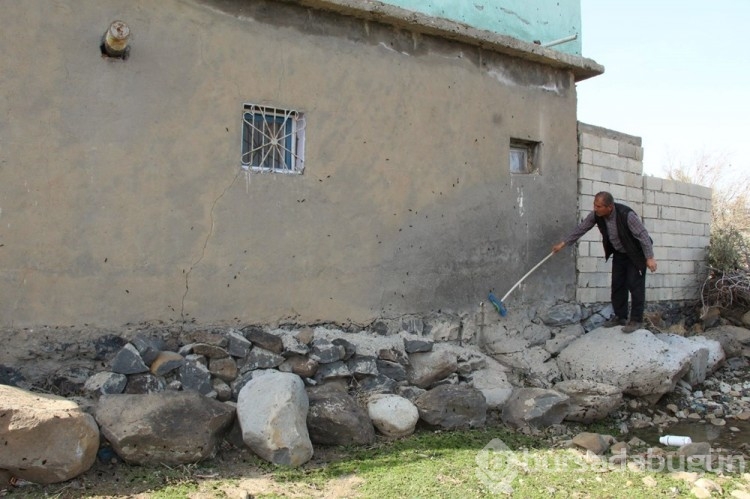 Şırnak'ta çam kese tırtılı istilası yaşanıyor