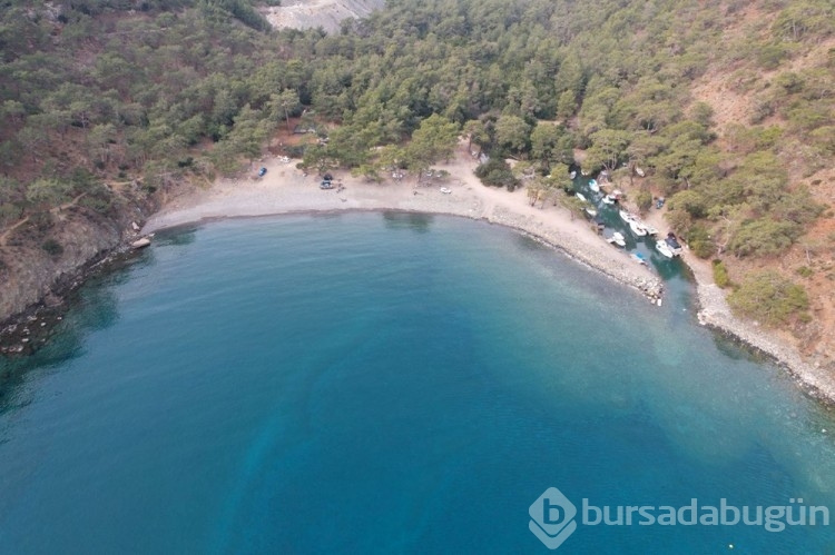 Phaselis Antik Kenti açıklaması: Doğaya zarar verilmeyecek