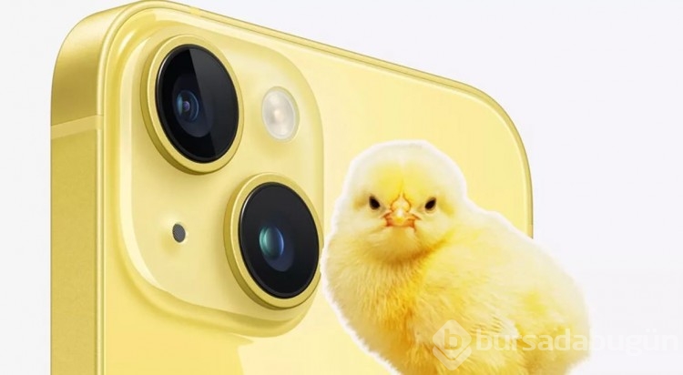 Apple Sarı iPhone'u duyurdu