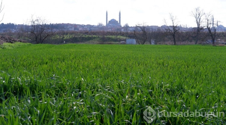 Çiftçi kara kara düşünüyor: 90 yılın en kurak dönemi