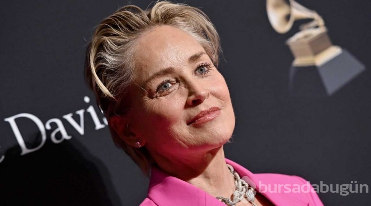 Sharon Stone Oğlunun velayetini nasıl kaybettiğini açıkladı